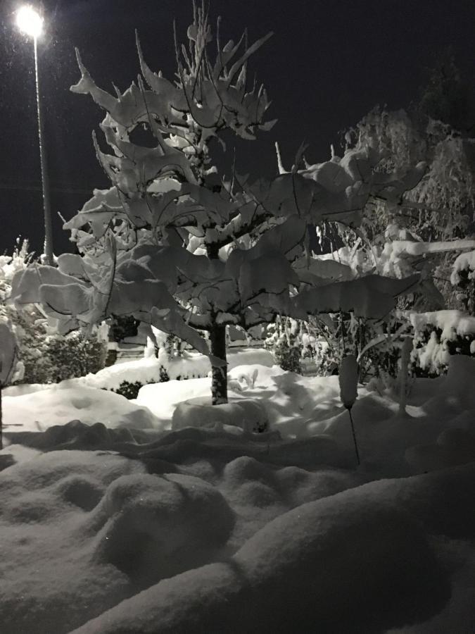Zur Alten Scheune Balingen Exteriér fotografie