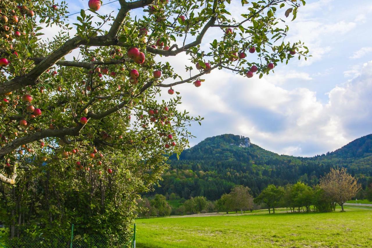 Zur Alten Scheune Balingen Exteriér fotografie