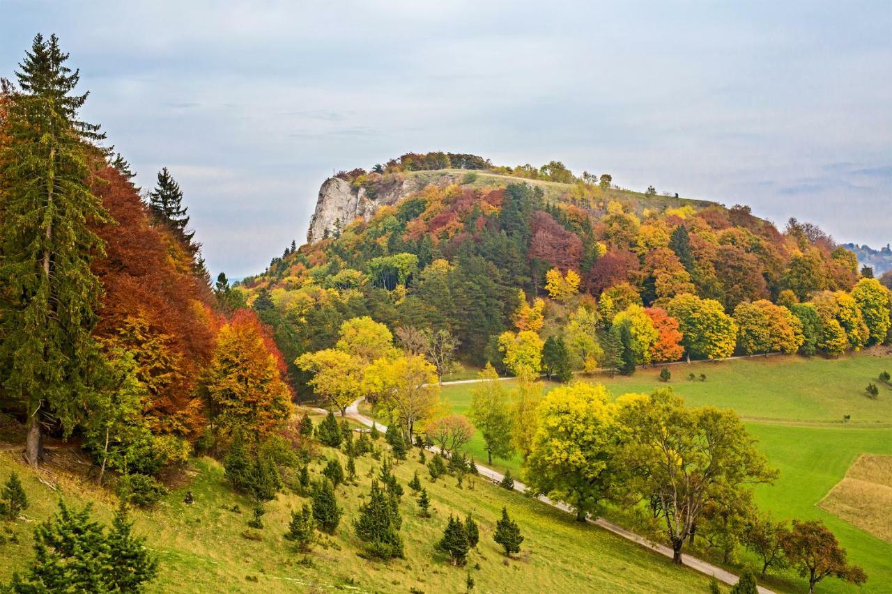 Zur Alten Scheune Balingen Exteriér fotografie