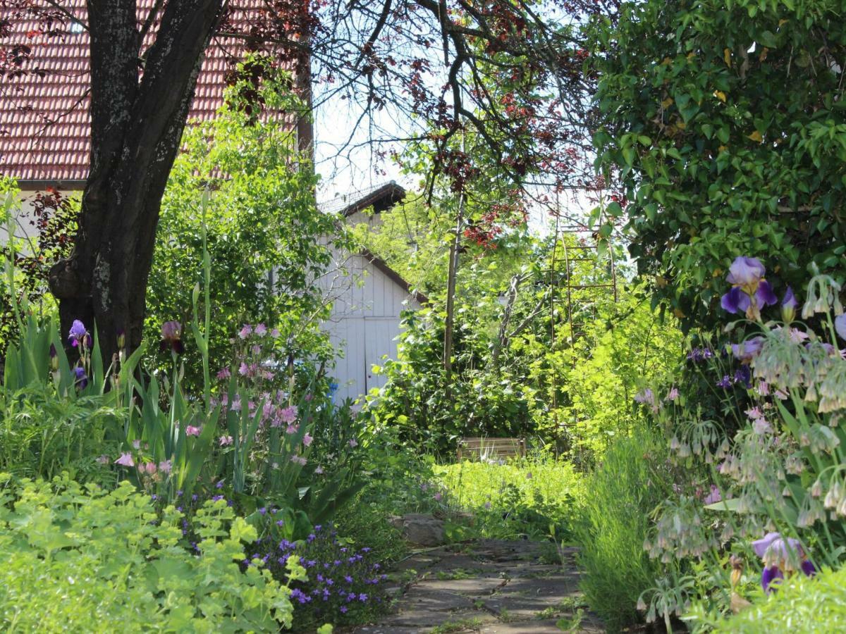 Zur Alten Scheune Balingen Exteriér fotografie