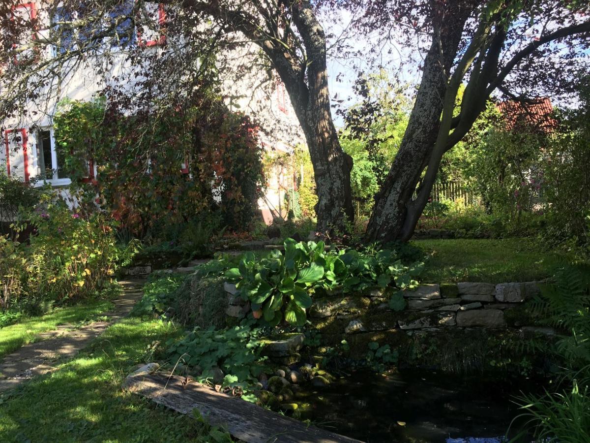 Zur Alten Scheune Balingen Exteriér fotografie