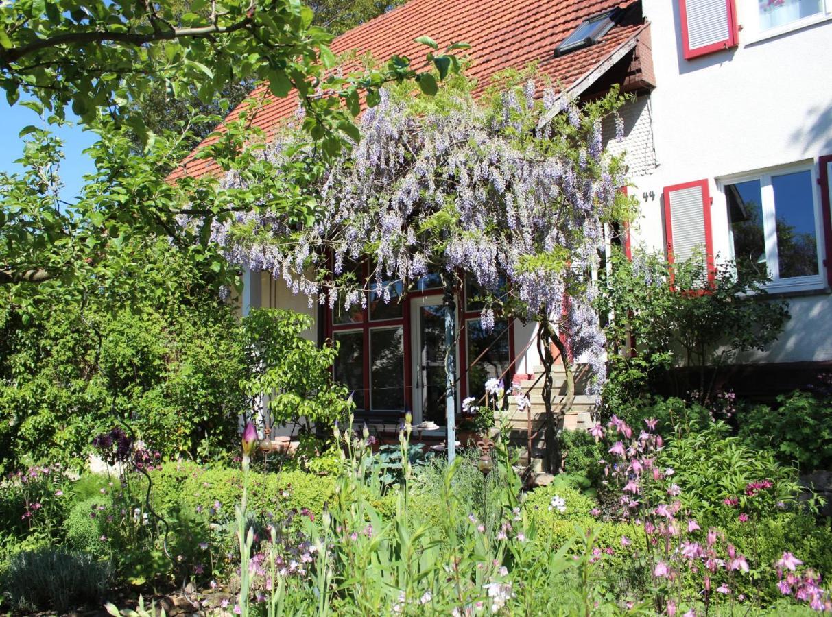 Zur Alten Scheune Balingen Exteriér fotografie